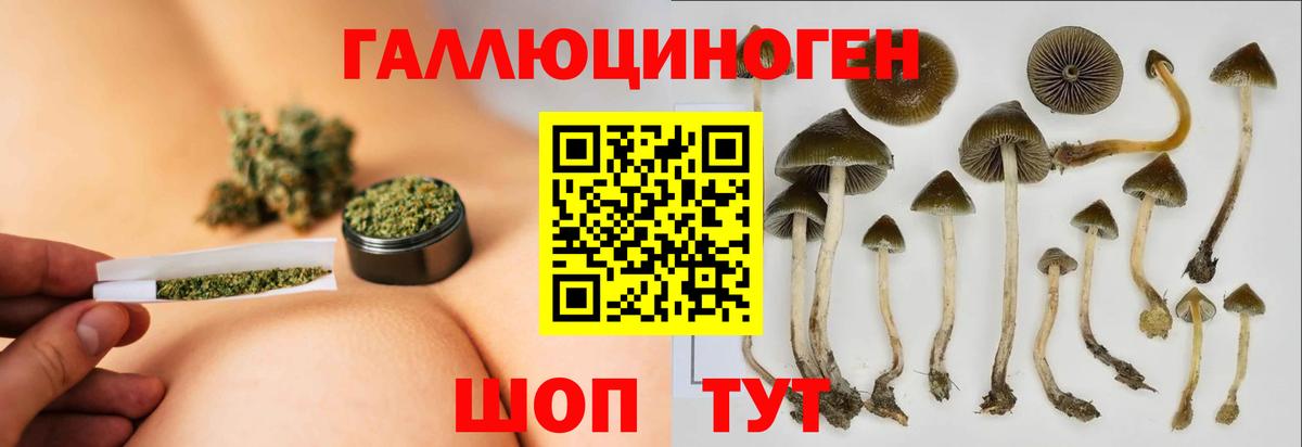 Кодеин Мурманск